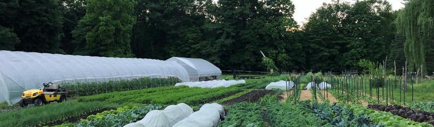 Community Supported Agriculture at Edible Uprising Farm